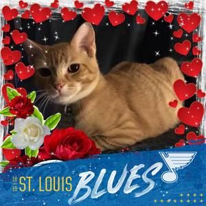 Meet your Posher, Laurie